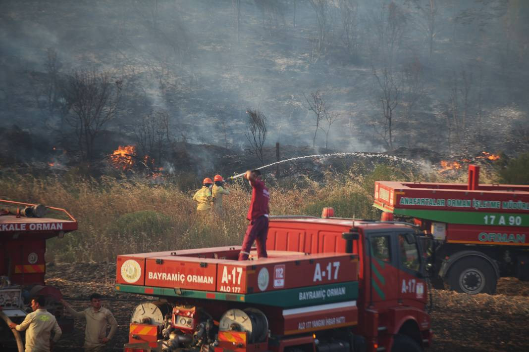 Çanakkale'deki Tarihi Alan'ın güney hattı ziyarete açıldı! Orman yangınında kapatılmıştı - Resim: 54